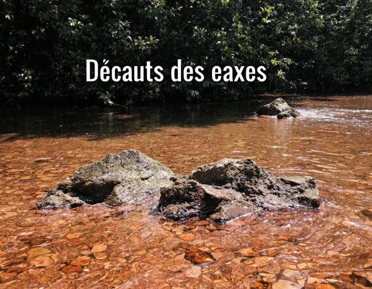 Dégâts des eaux : Responsabilités et couverture d'assurance en cas de franchise locative